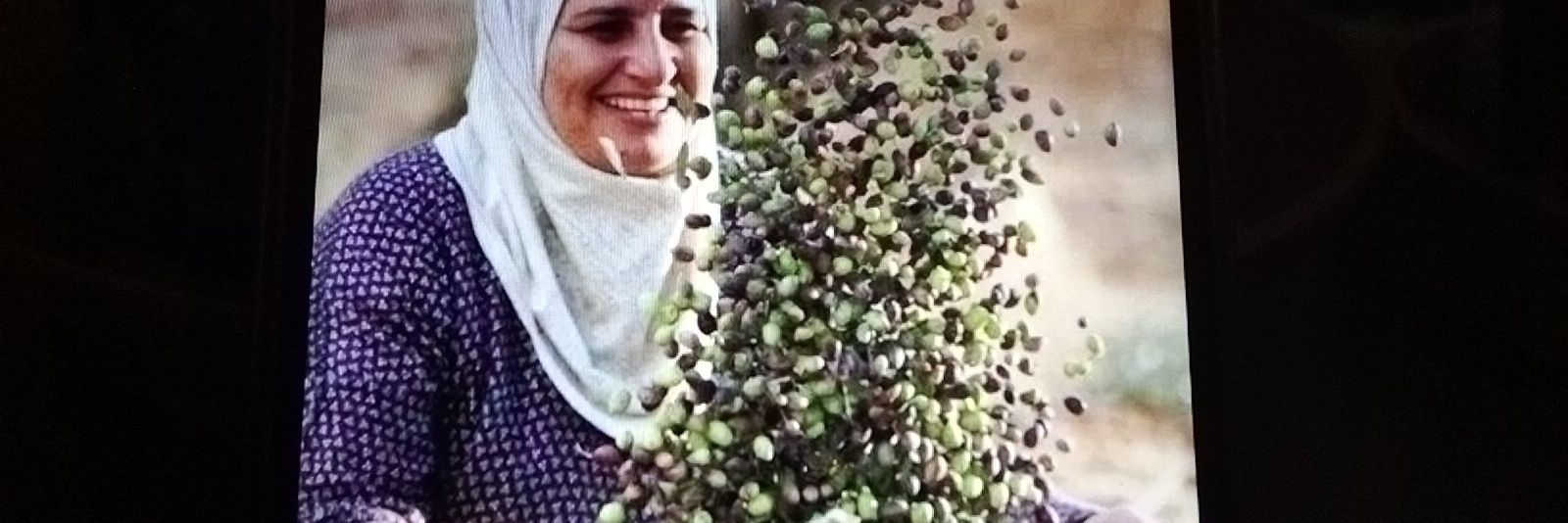 Ramona🇵🇸 banner