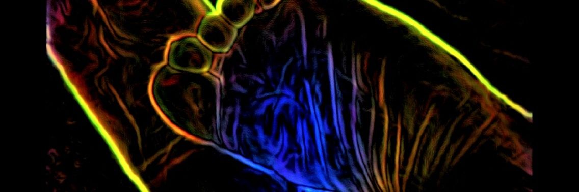 GoddessNyxema's profile banner image