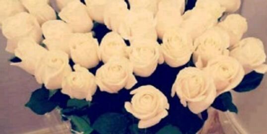 Merry_Baladraf's profile banner image
