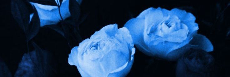 καΔelta banner