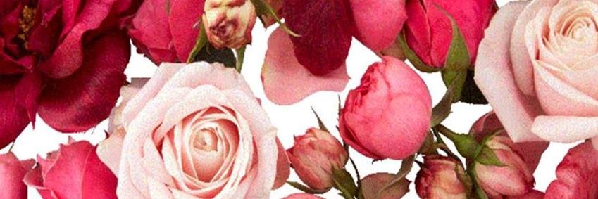 _TheatreTherapy's profile banner image