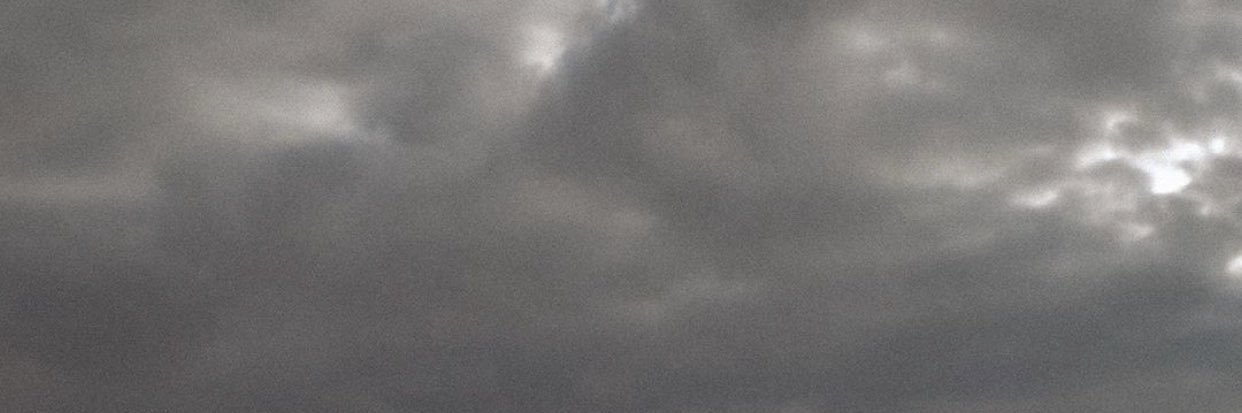 Sweimm's profile banner image