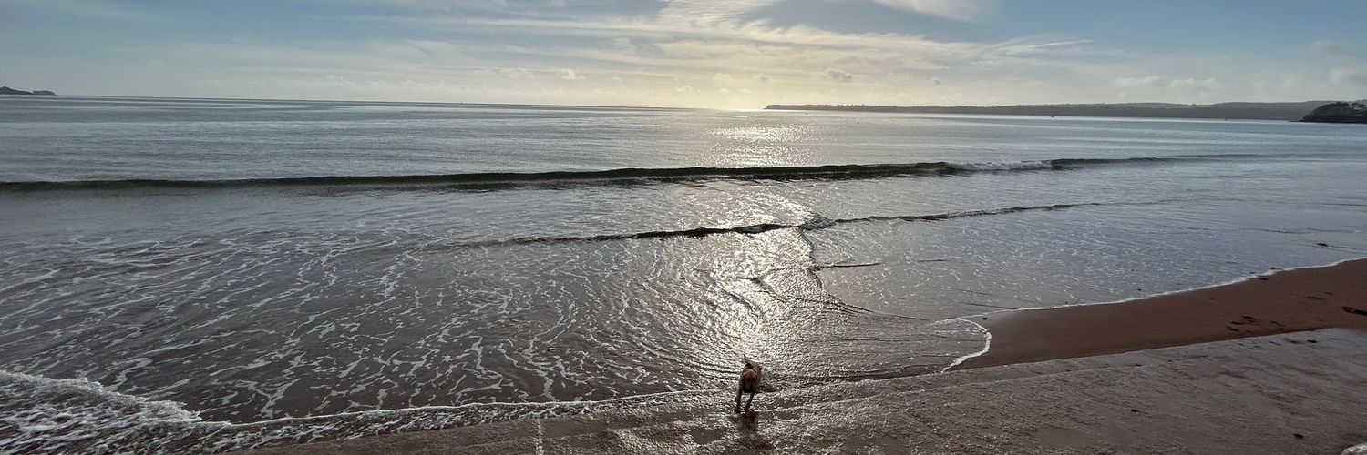 David Bedwell banner