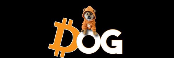 DailyCoinPulse Profile Banner