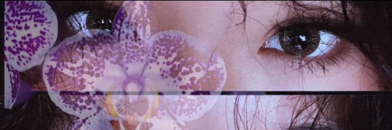 ⋆｡‧˚ʚ t 🍓ɞ˚‧｡⋆ banner