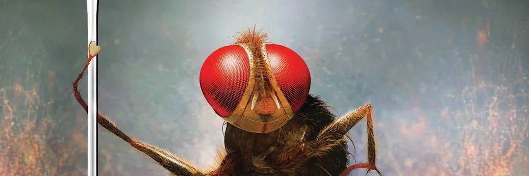 jit_muncha's profile banner image