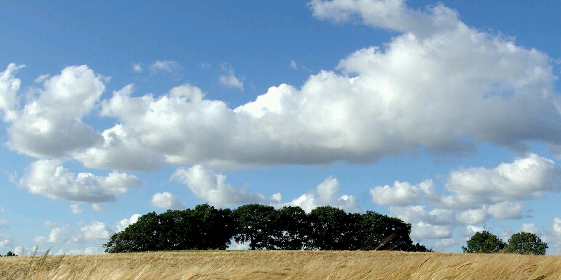 SaeedRahimian's profile banner image