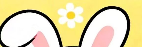 Cicy banner