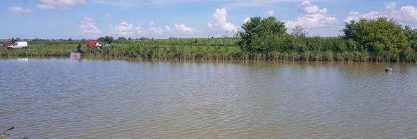 woolavy Profile Banner