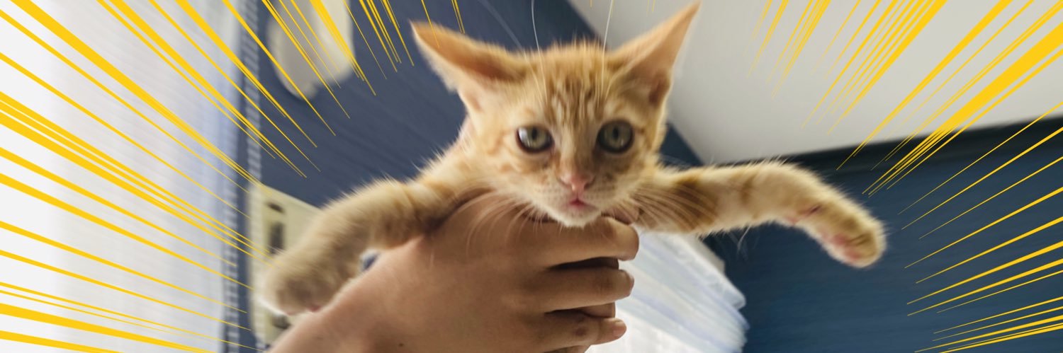 pagoss's profile banner image
