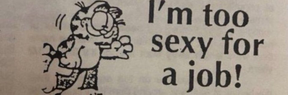 ദ്ദി(˵ •̀ ᴗ - ˵ ) ✧ banner