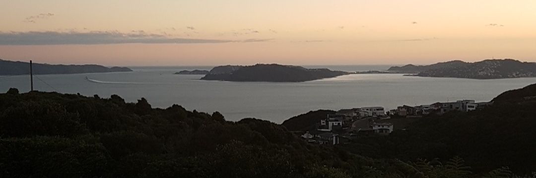 Taroaroa's profile banner image