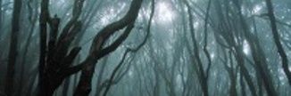 Fannou__'s profile banner image