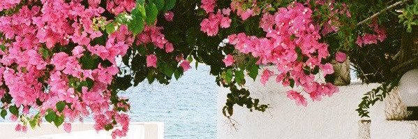 Haydi_1995's profile banner image
