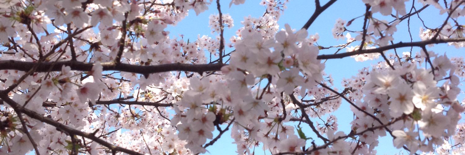 ぼすシャル banner