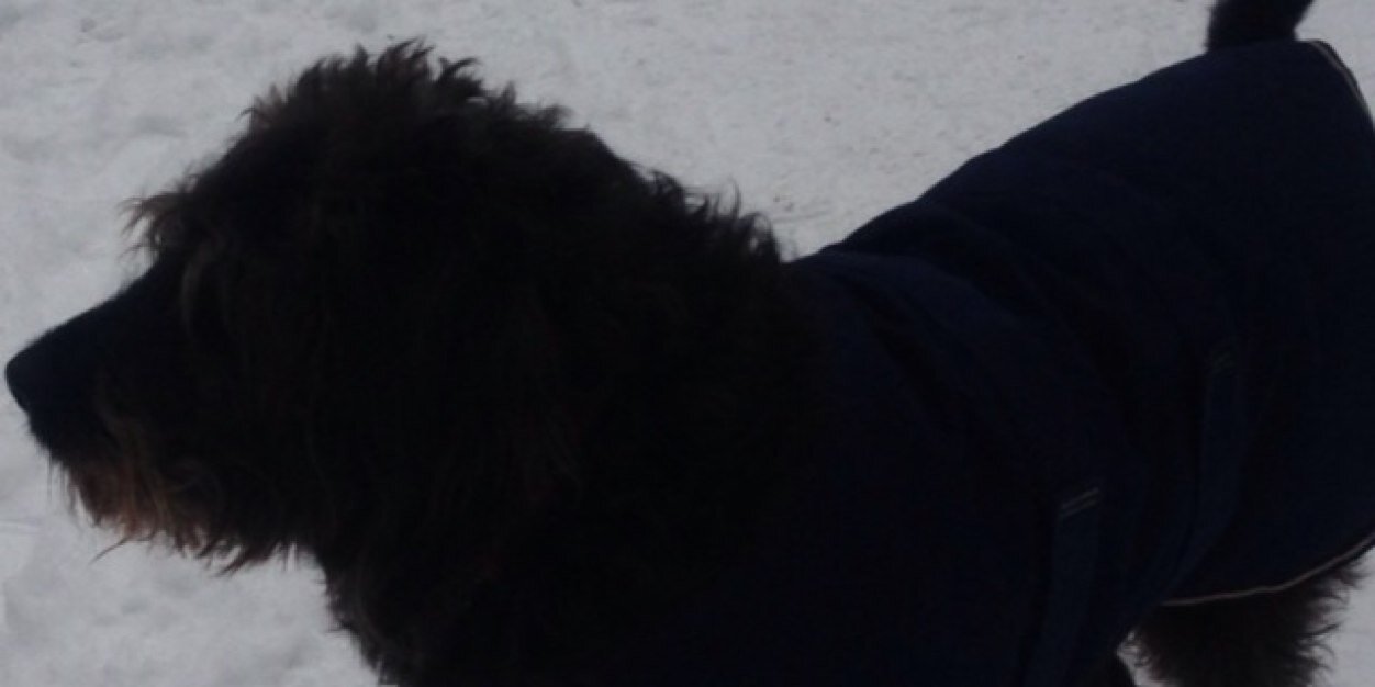 bustervilla's profile banner image