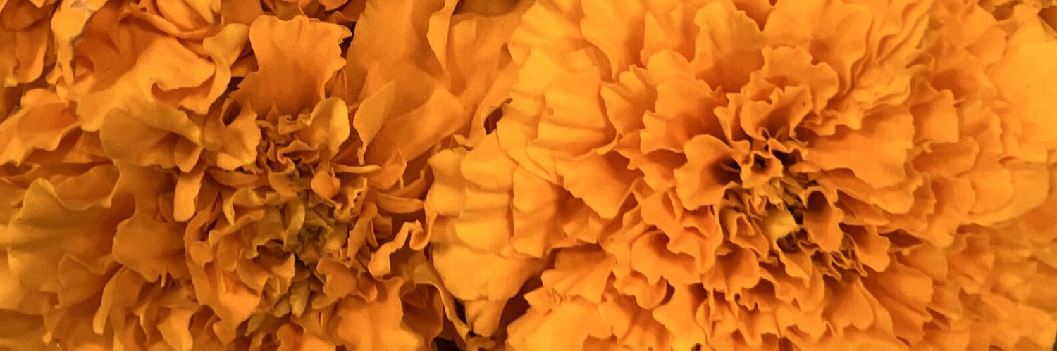 jocelynn__07's profile banner image