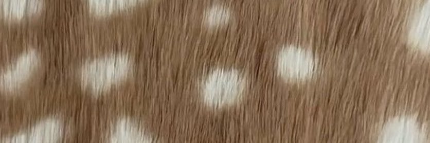 deea__3's profile banner image