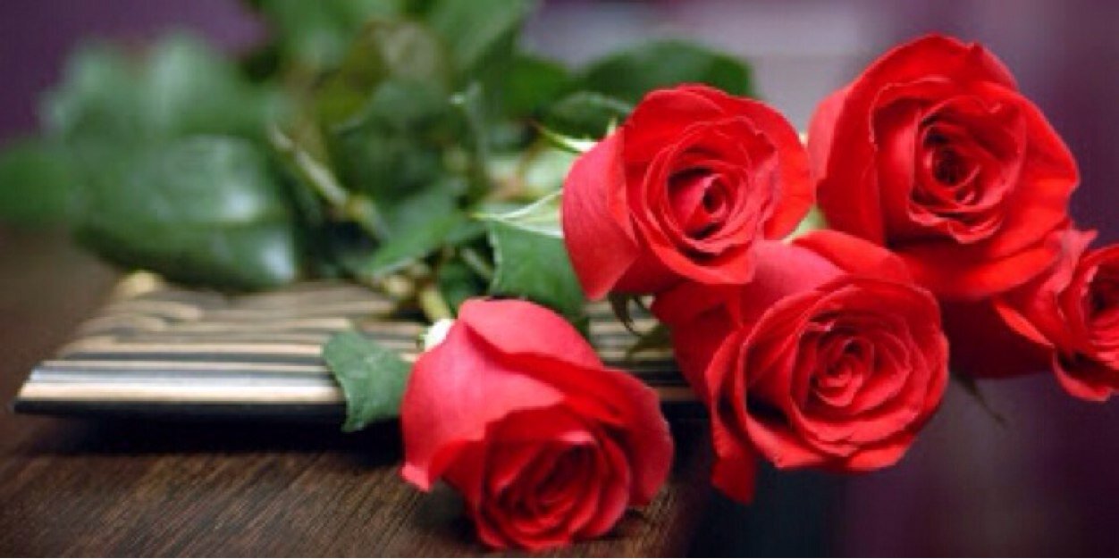 dm_Bella's profile banner image