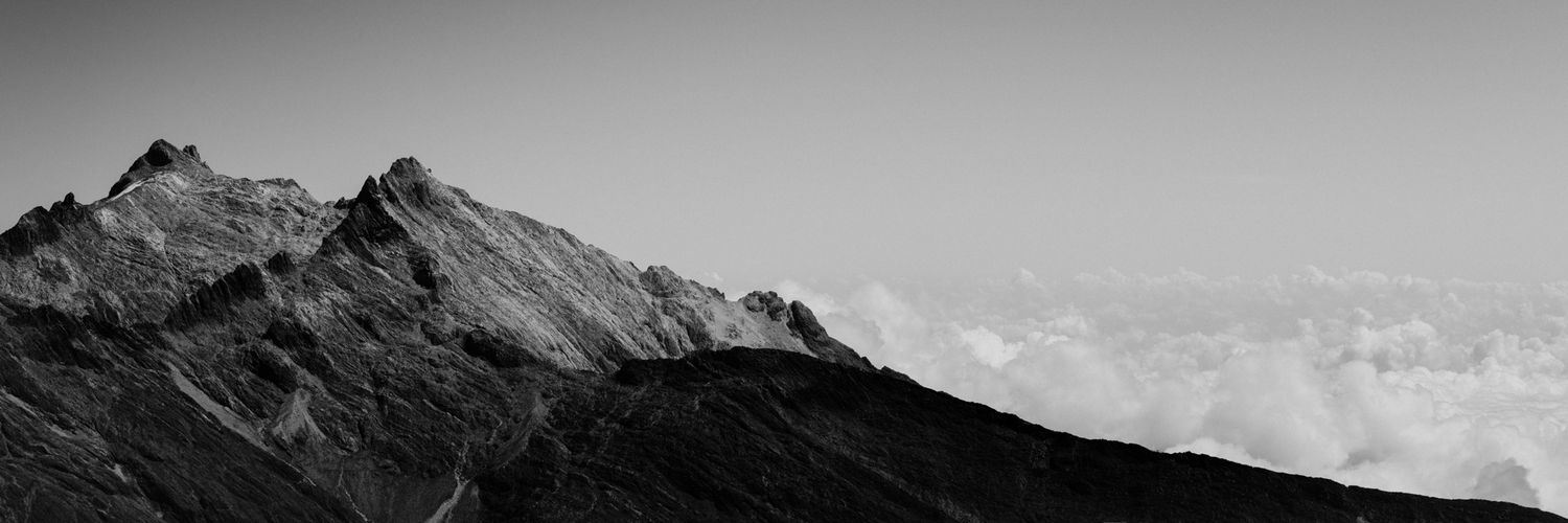 OsoDaniel's profile banner image
