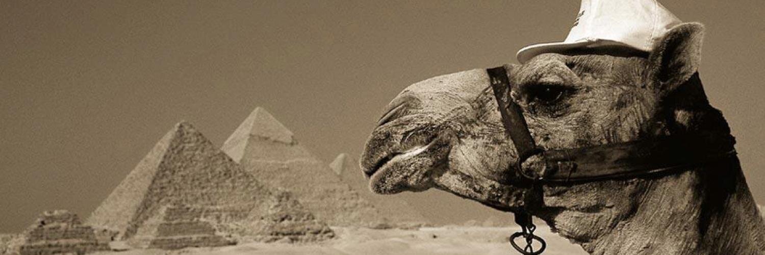 omarturco's profile banner image