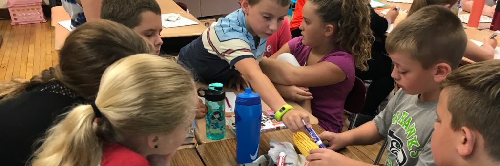 Elizabeth Oberlander banner