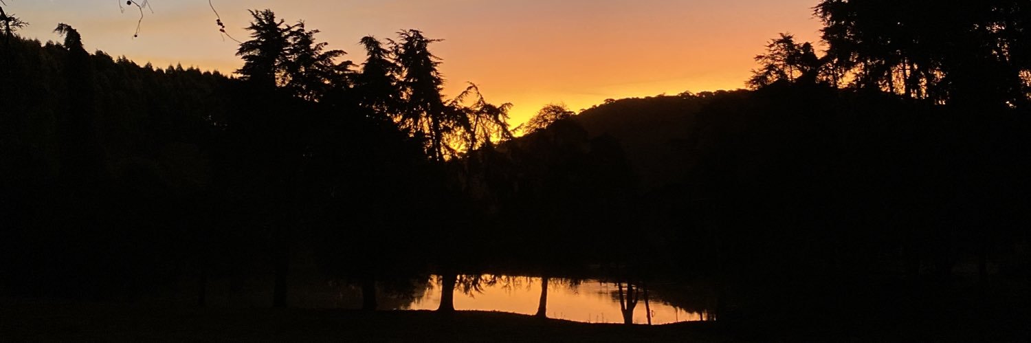diazlainna's profile banner image