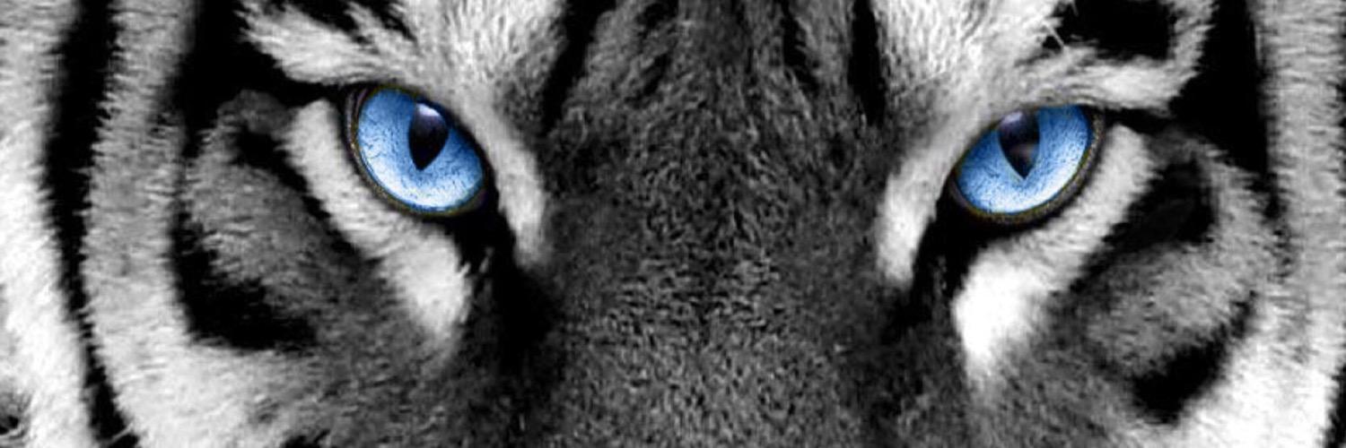 SRUPS1's profile banner image