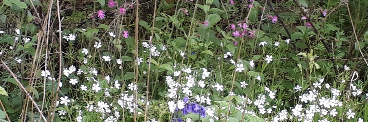 Martin Ambler💙 banner