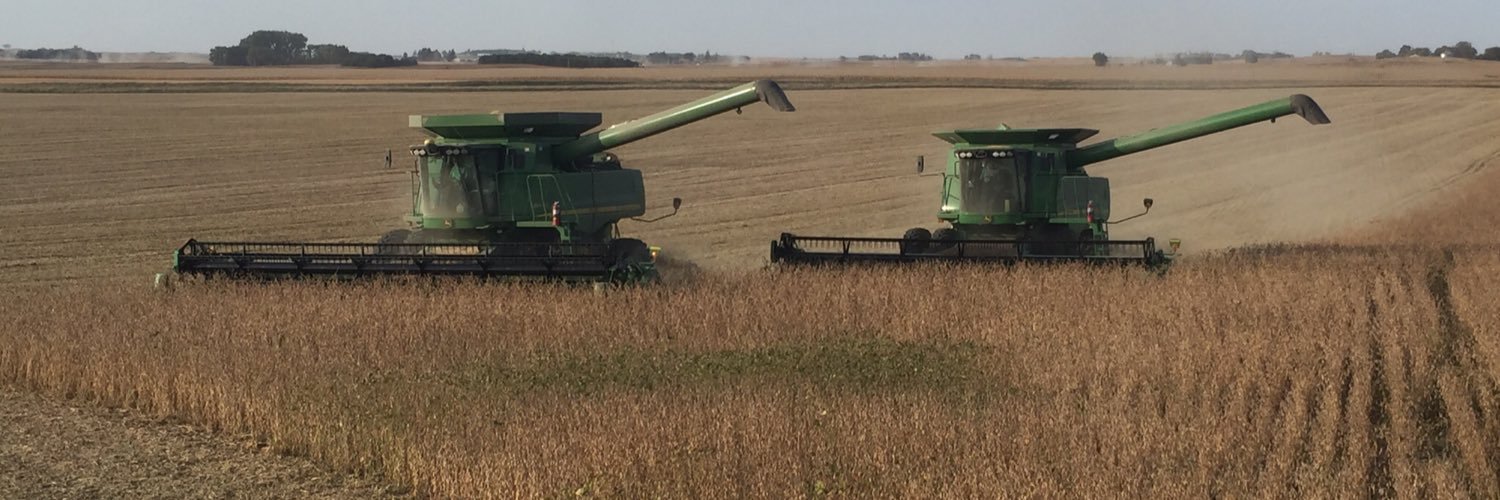 Alex Mortenson banner