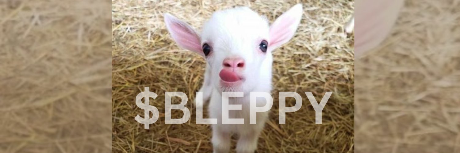 BLEPPY banner