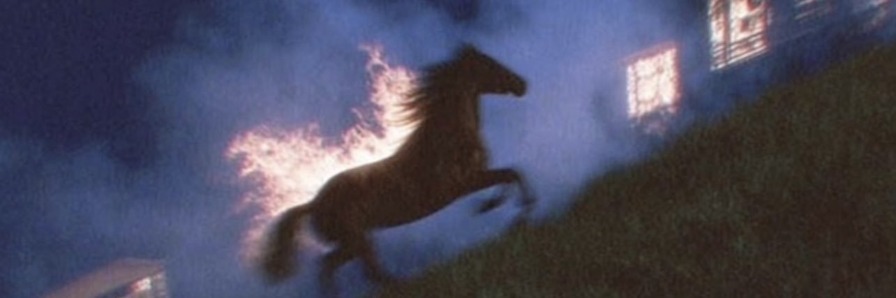 sheayss's profile banner image