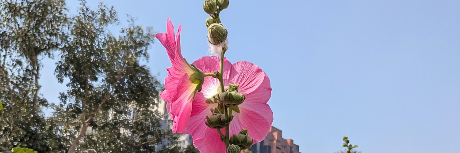 Calm Soul (मुसाफ़िर) banner