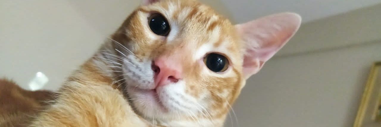 patoduartegz's profile banner image