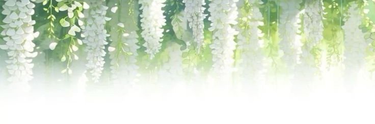 xiaoluver07's profile banner image