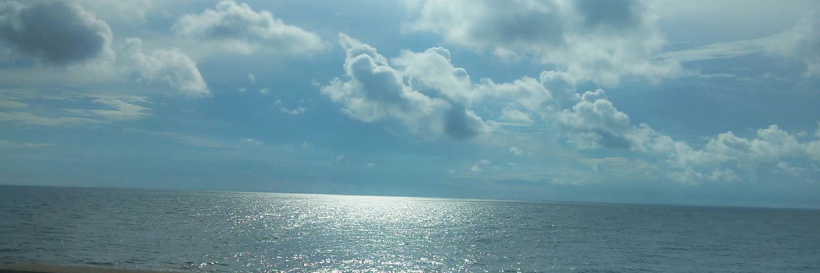 farlica's profile banner image
