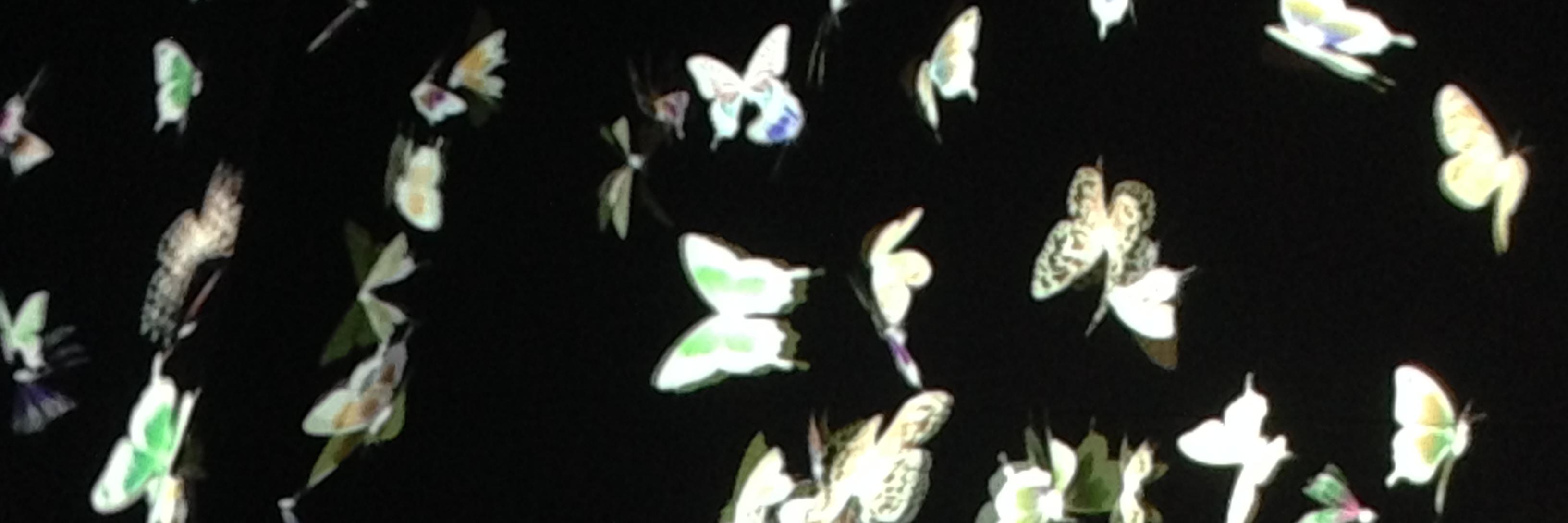 Georgina McFadyen banner