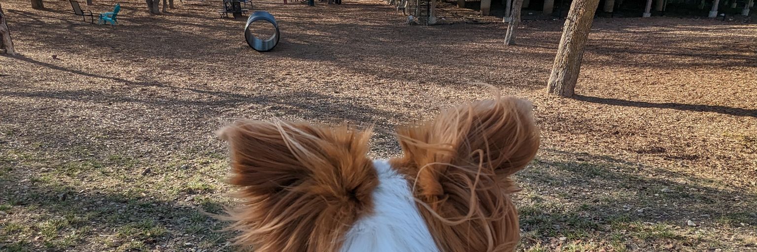 Mitchell Cole banner
