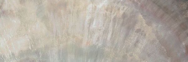 izza 🐈 banner