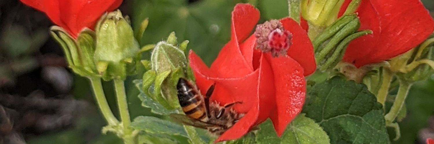 April Thompson banner