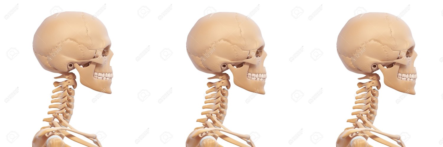 Side profiles for drawing reference banner