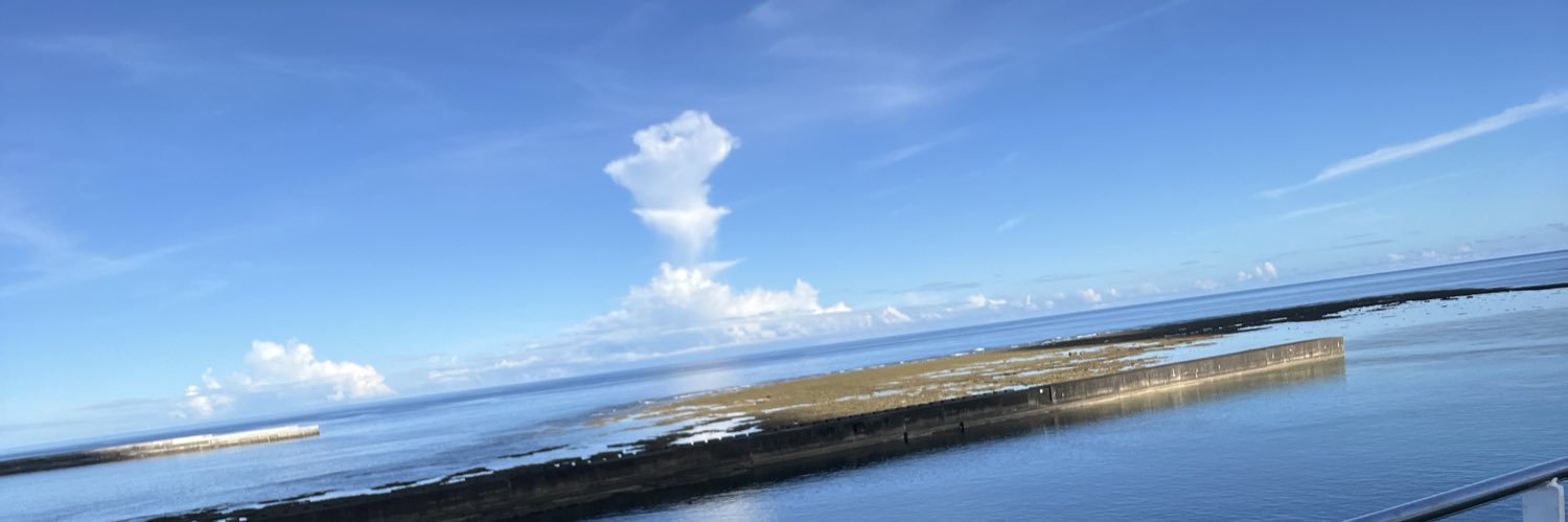 nzoritar0's profile banner image