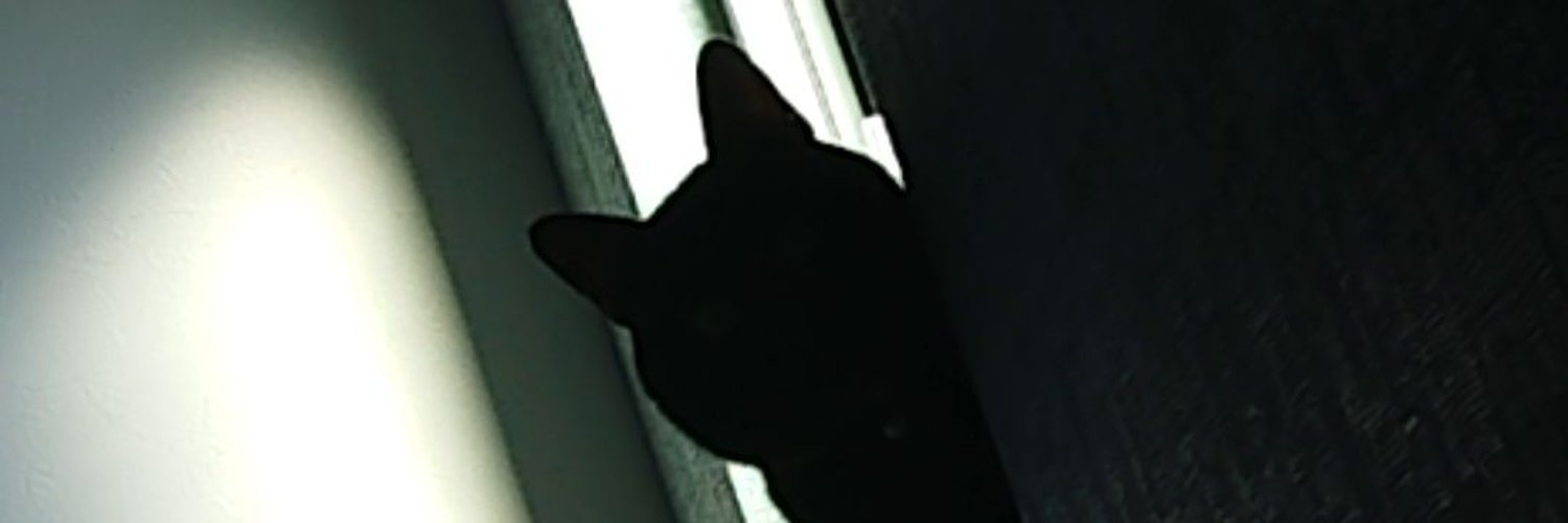 schnadderine's profile banner image