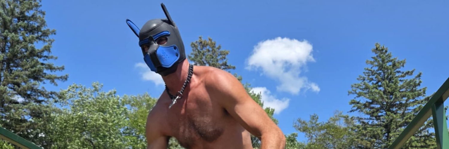 Pup Stretch banner