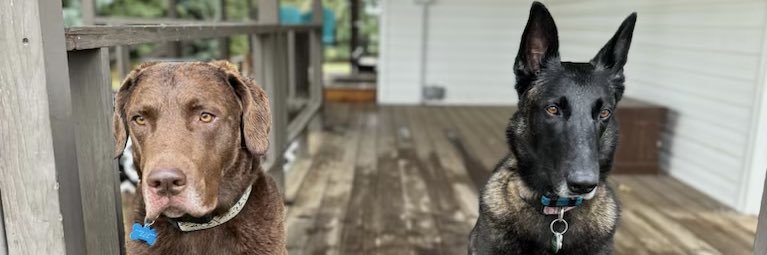 mtflyfisher86's profile banner image