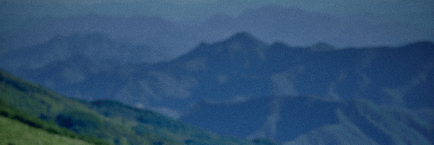 2069438's profile banner image