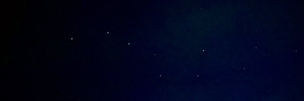 trash_doggo Profile Banner