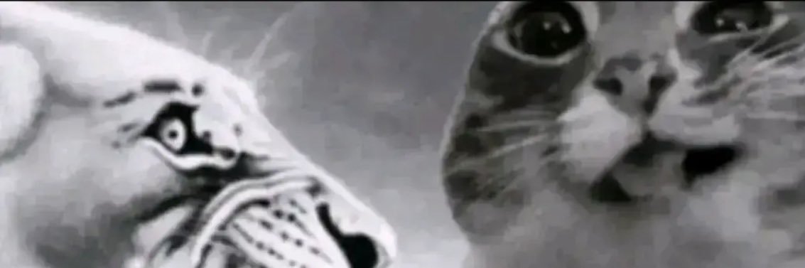 Daenerys & Jon snow’s defender banner