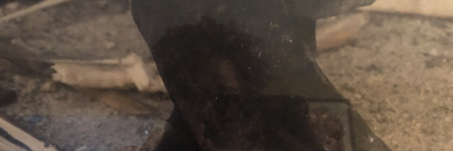 crichlow, Michaeline banner