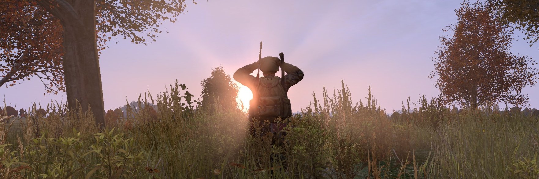lipek's profile banner image